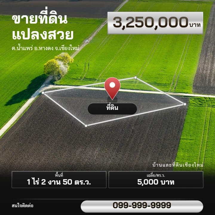 เทมเพลตภาพมุมสูง ตีเส้นแปลง โทน ขาว-ดำ