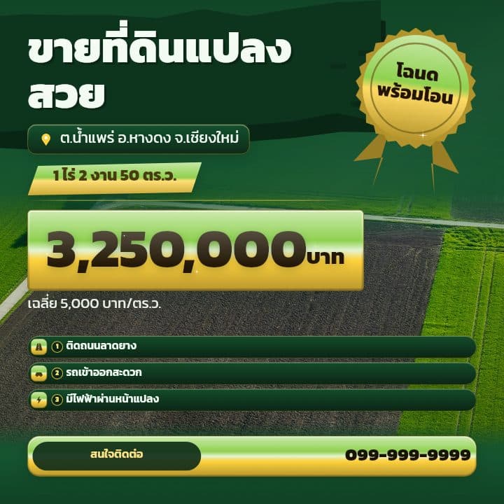 เทมเพลตแบนเนอร์ขายเด่น โทน เขียวเข้ม